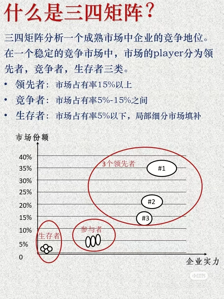 三四规则矩阵：成熟市场企业竞争地位分析