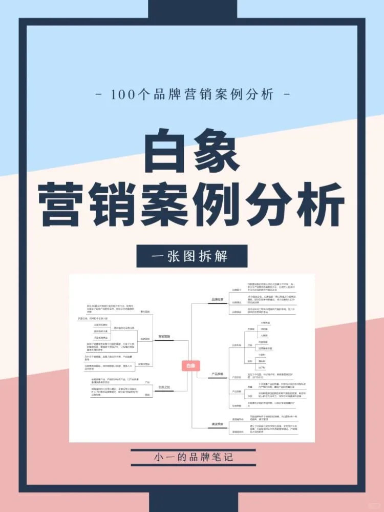 白象品牌营销案例分析|一张图拆解