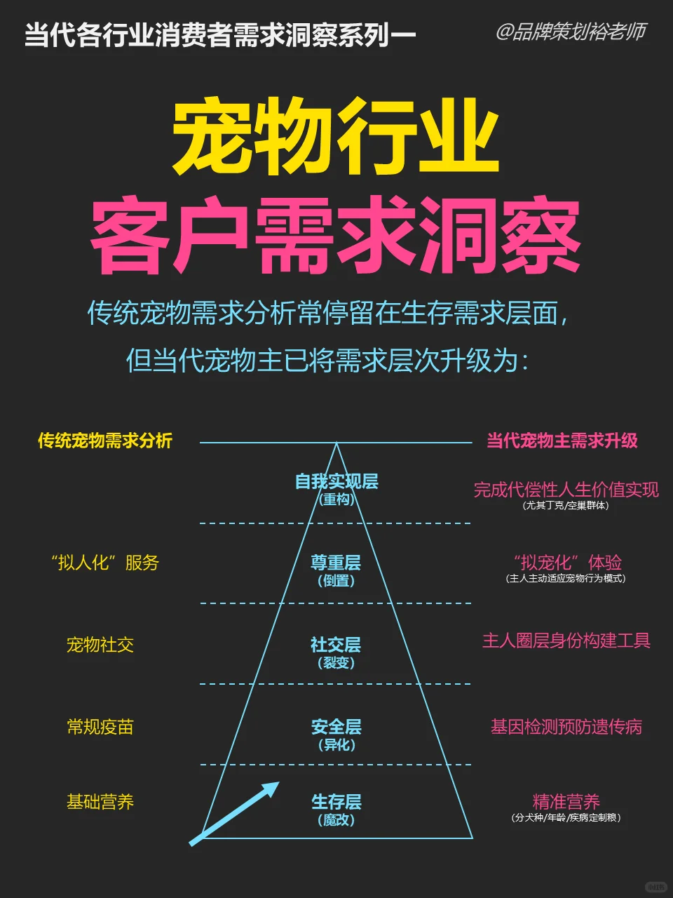 洞察：宠物行业-客户需求在变？