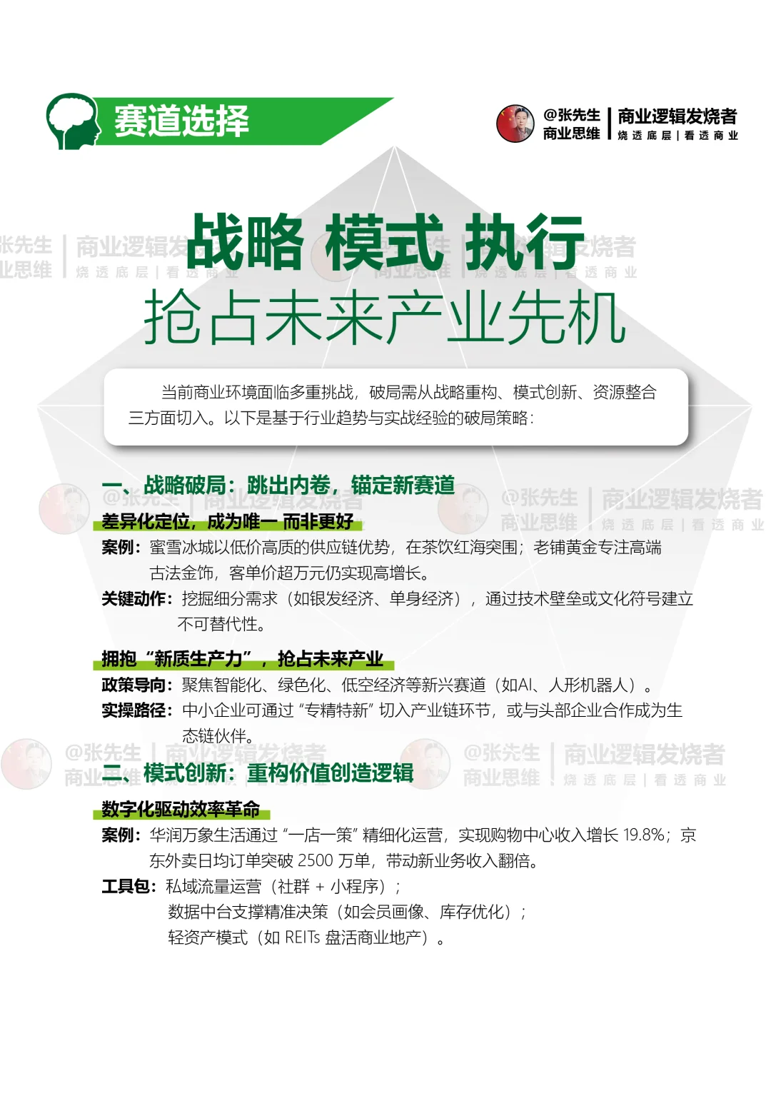 战略 模式 执行 抢占未来产业先机