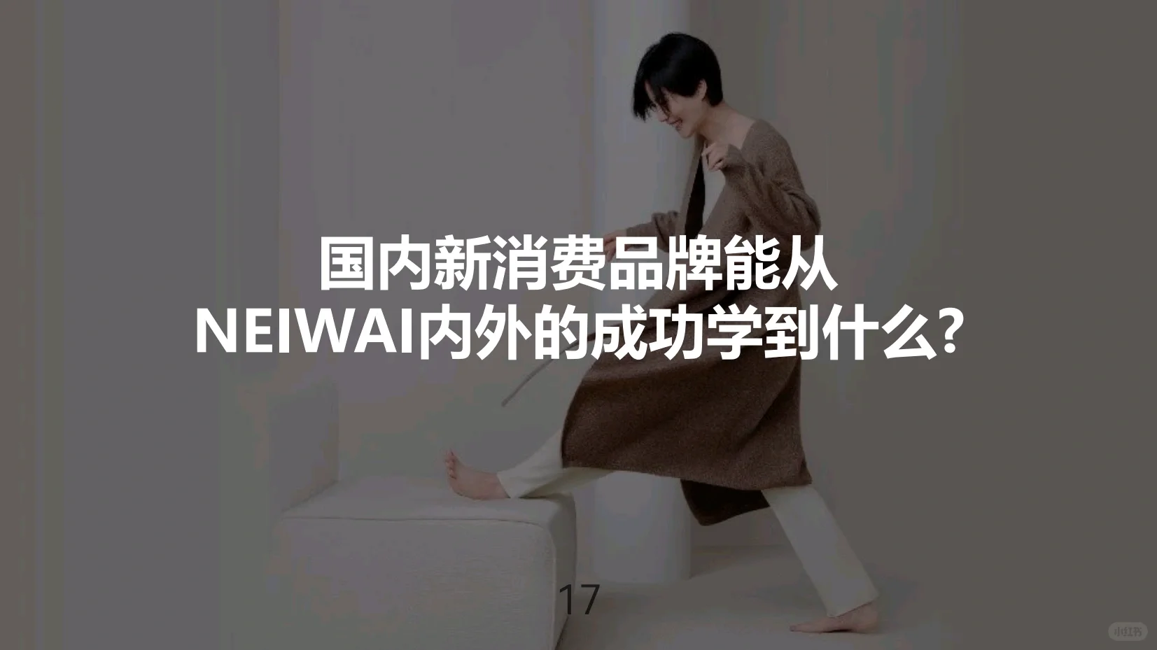 NEIWAI内外品牌研究报告（附PPT）