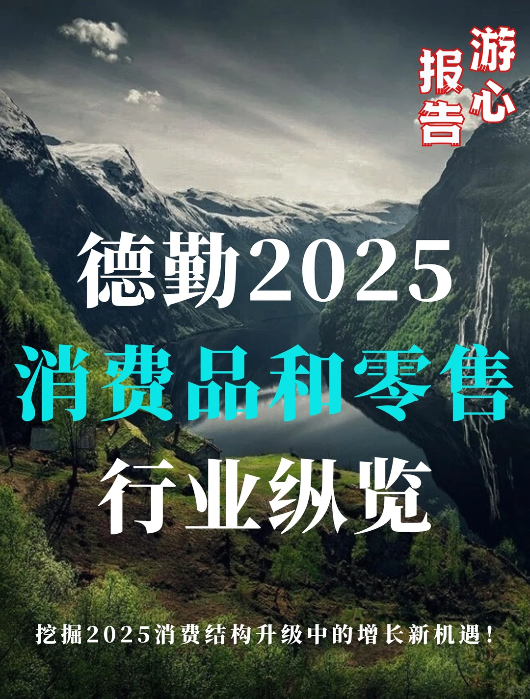 德勤：2025中国消费品和零售行业纵览
