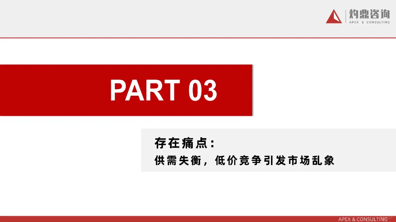 2024年中国新能源行业洞察报告