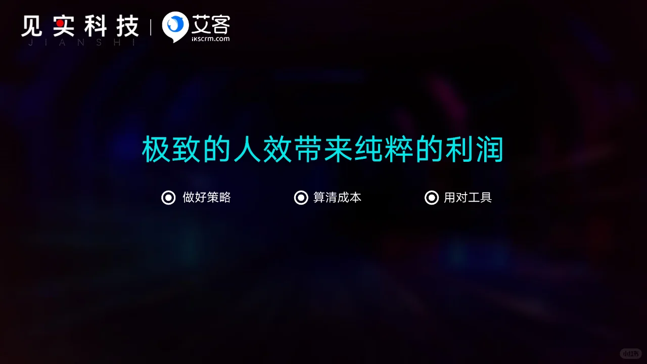 2024鲜为人知的赚钱私域内幕-极致人效
