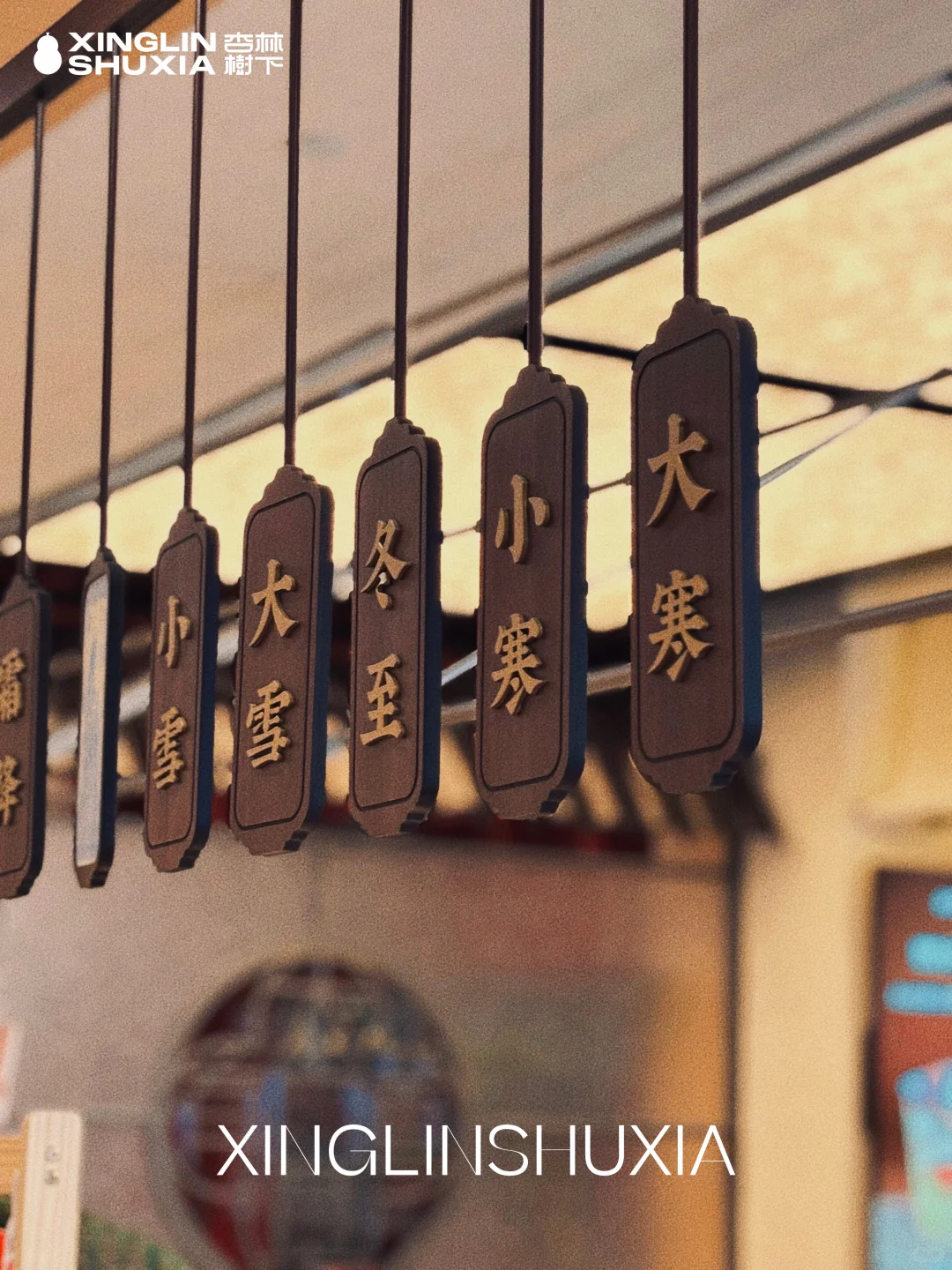 会养生的本草茶饮店+中医把脉！养生赛道已出