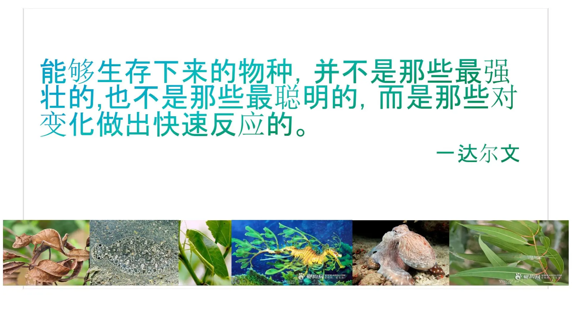 59页PPT | 数字化企业转型大数据解决方案