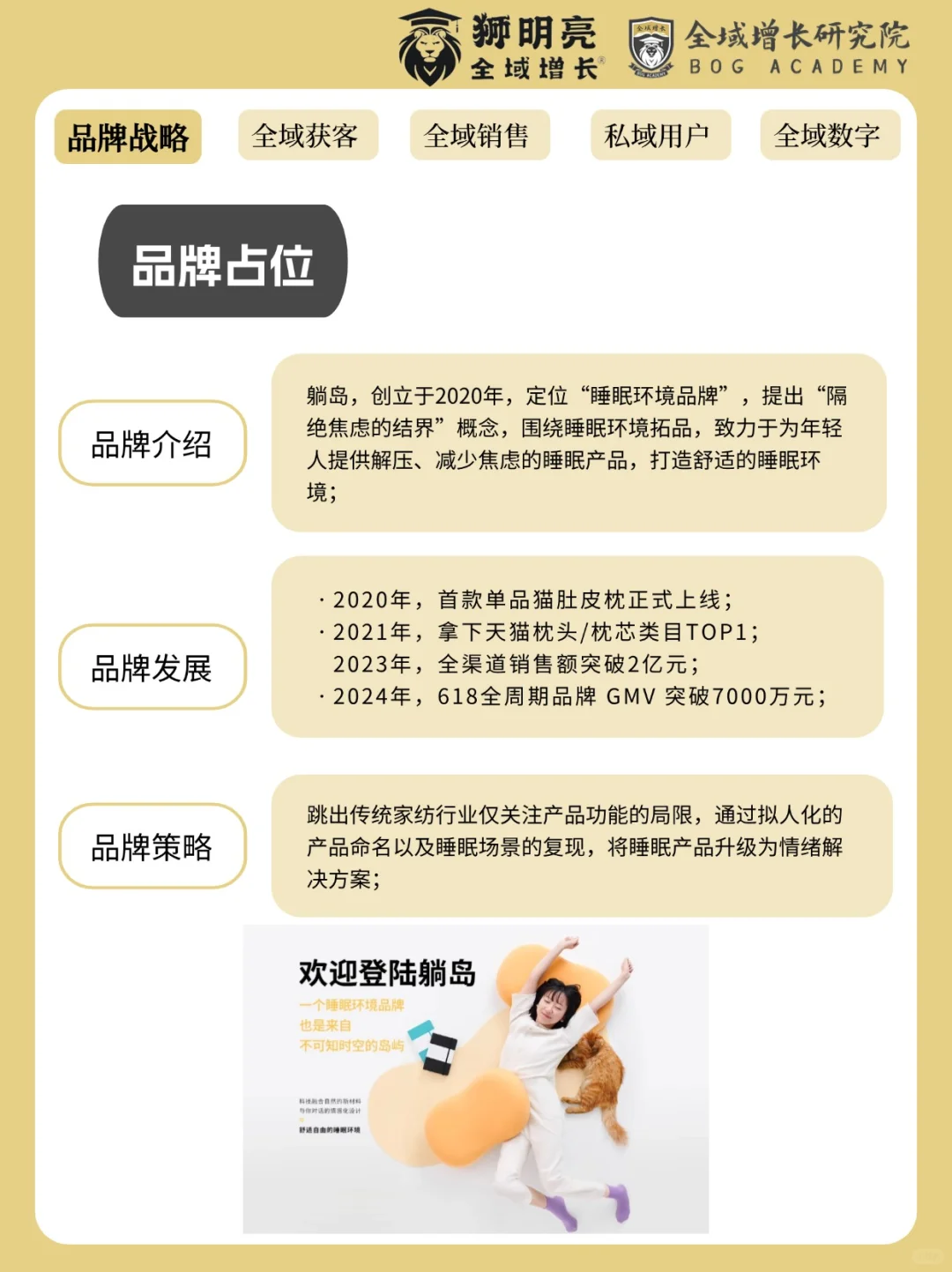 品牌案例 | 躺岛的全域增长模式分析