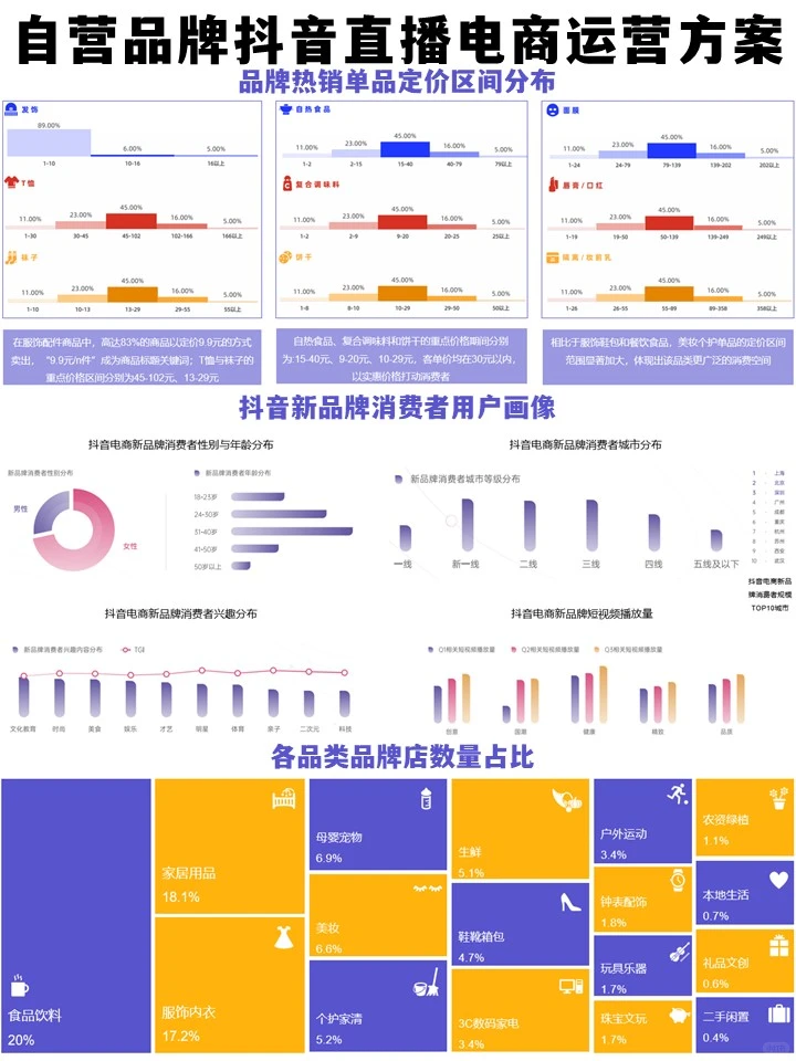 自营品牌电商直播项目运营计划方案