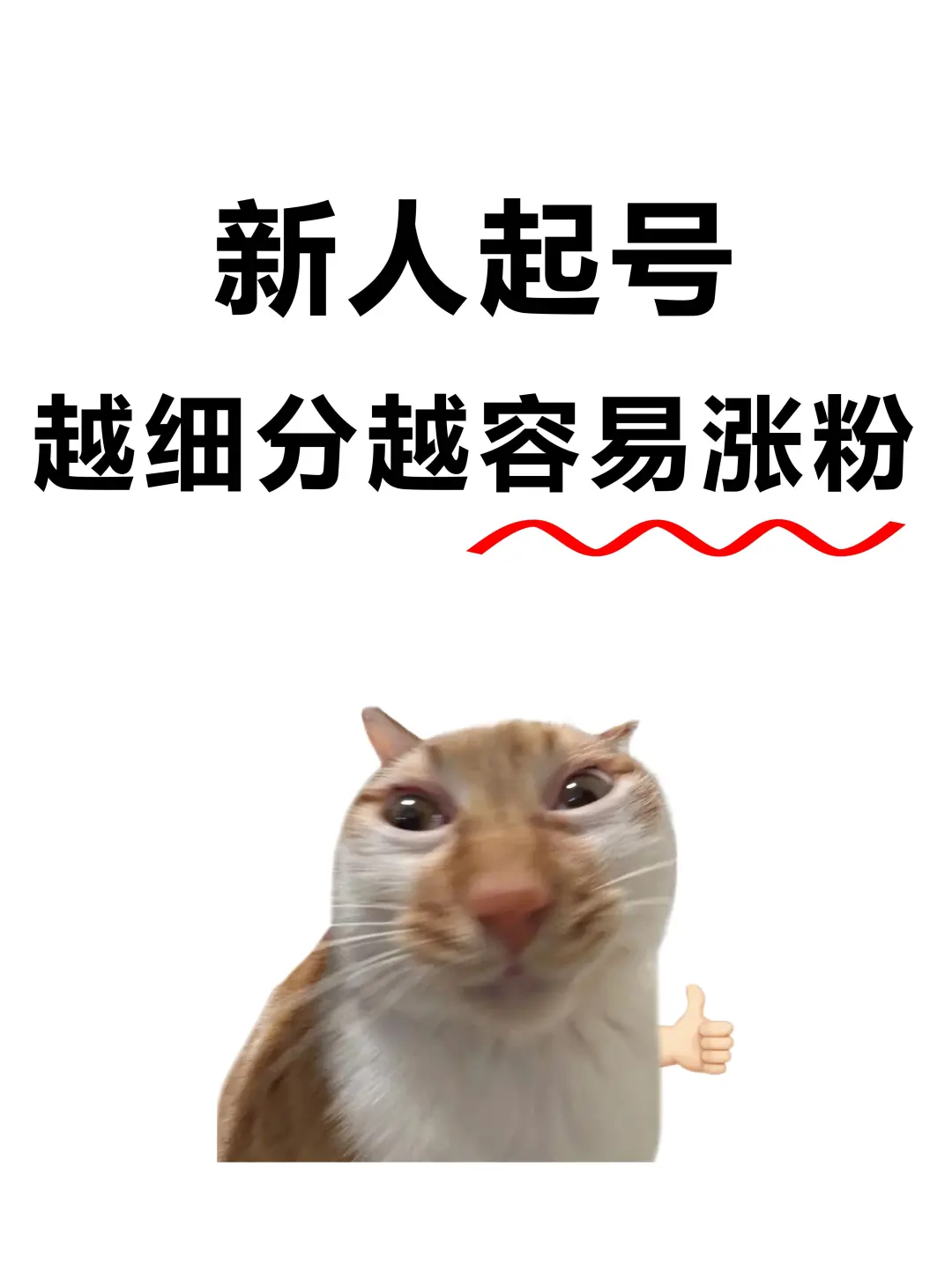 我发现新人起号涨粉捷径：细分！极致细分！