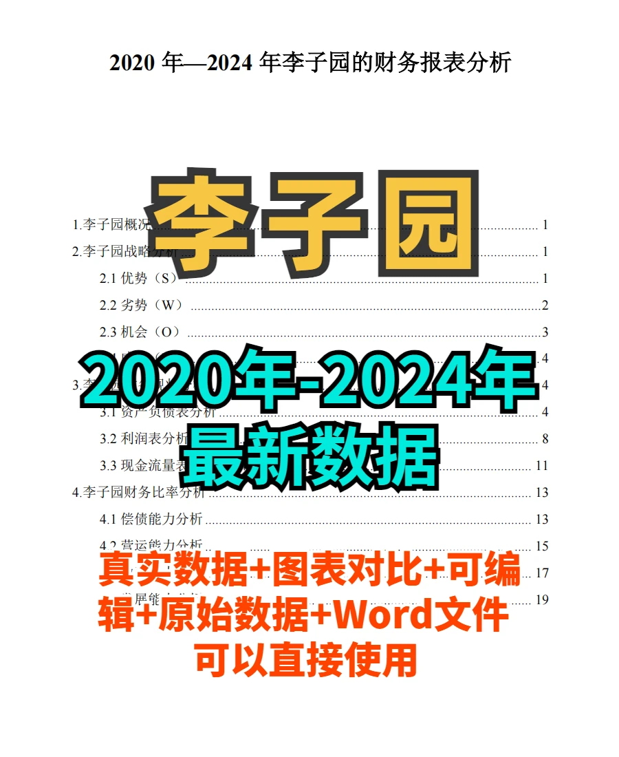 李子园财务分析报告