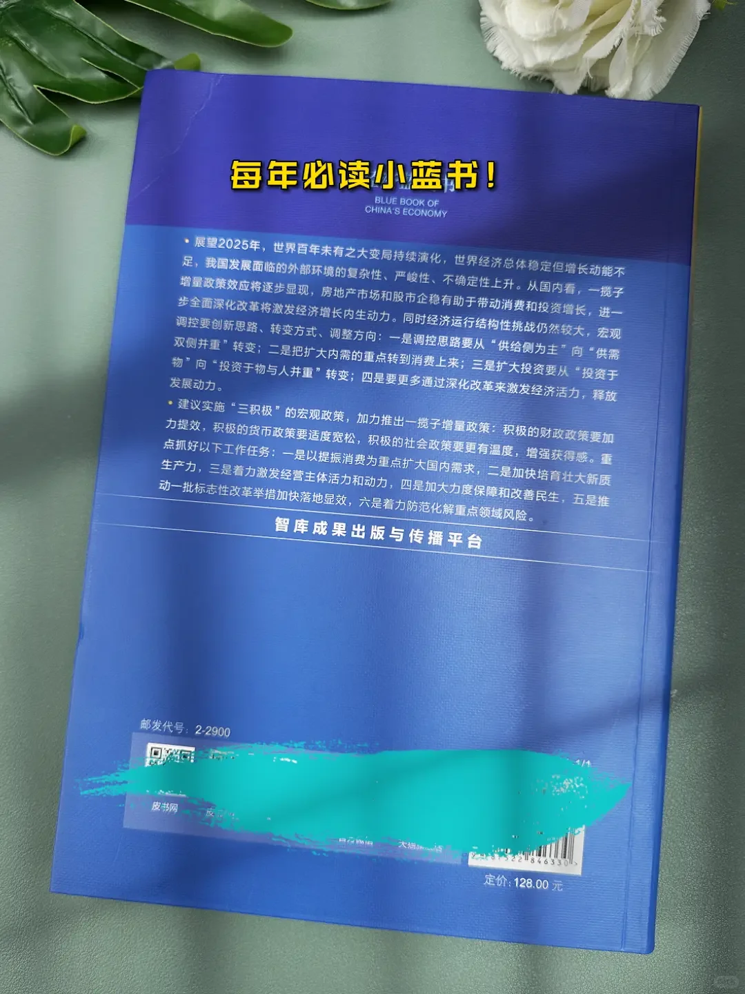 2025中国经济蓝皮书一本书带你看懂中国经济
