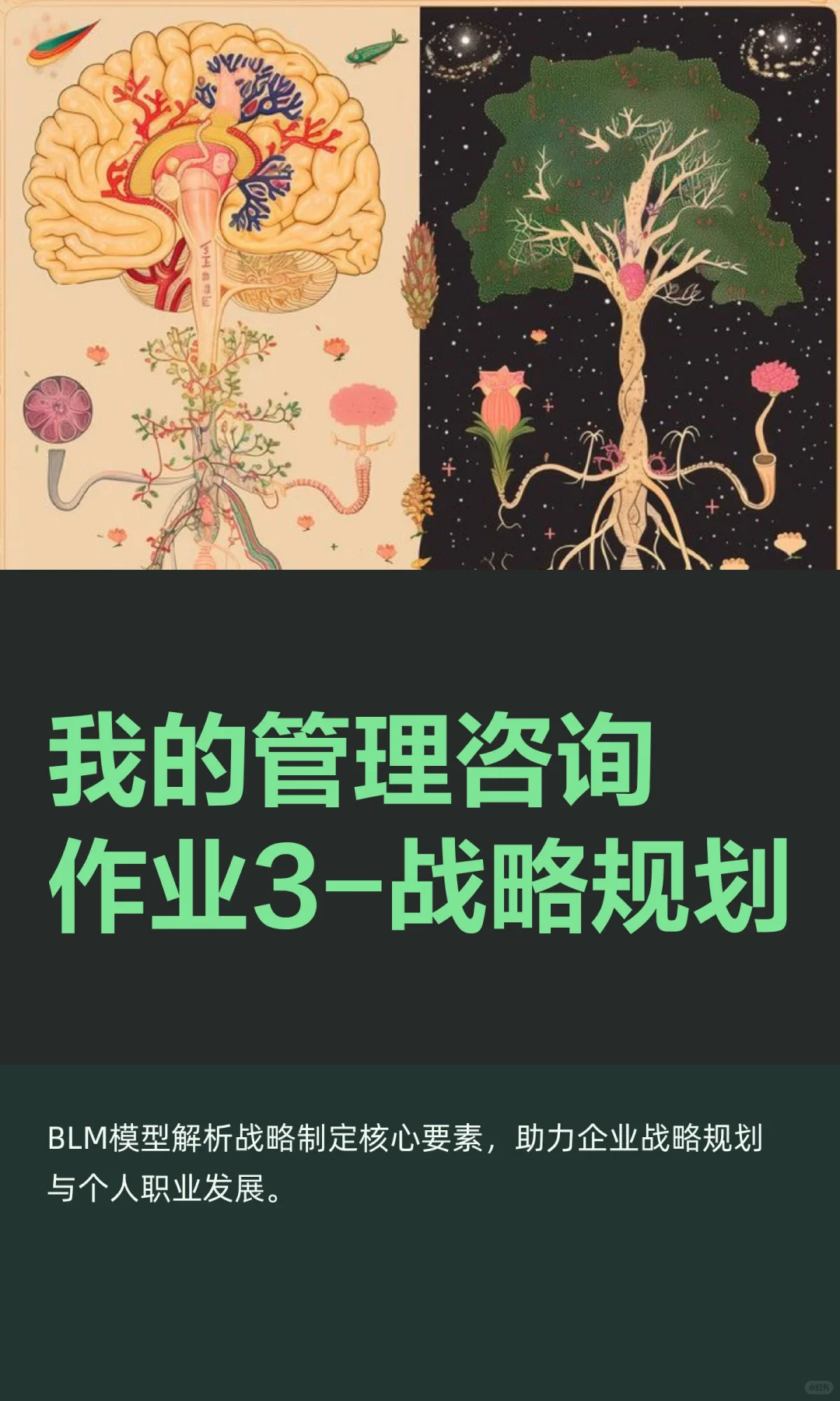 我的管理咨询作业3-战略规划