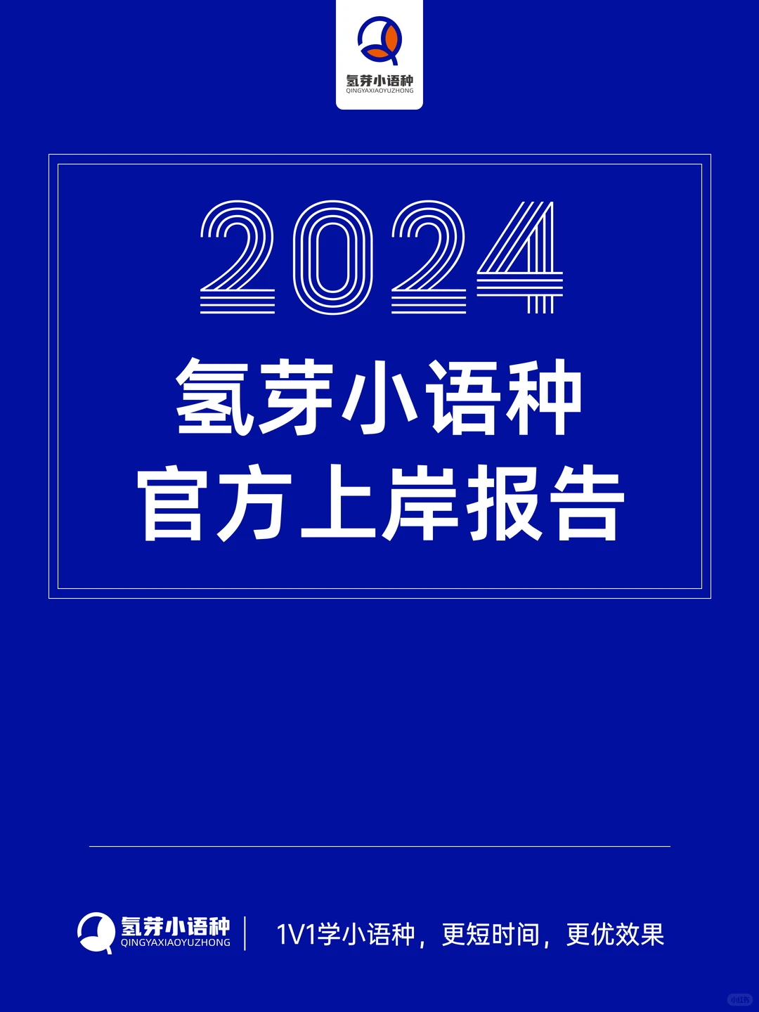 官方发布|氢芽小语种2024年度数据报告