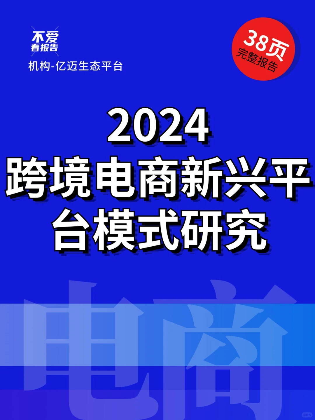 2024跨境电商新兴平台模式研究报告
