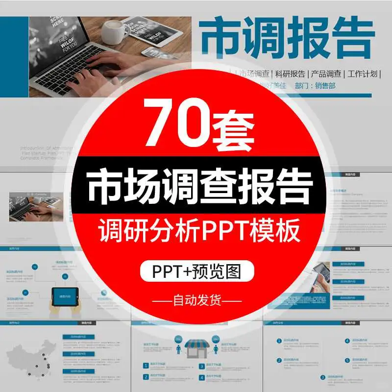 P企业行业竞争分析报告大公开☀️