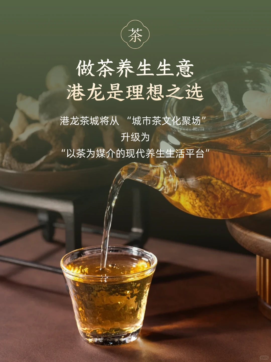 对望名院区位，把握茶养新风向