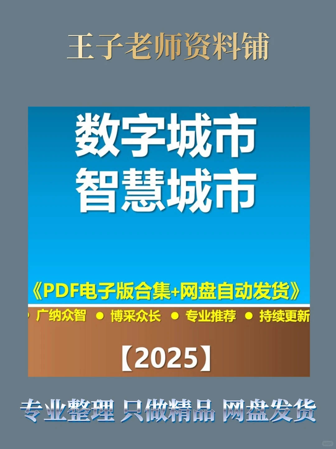 2025智慧城市数字孪生城市行业报告