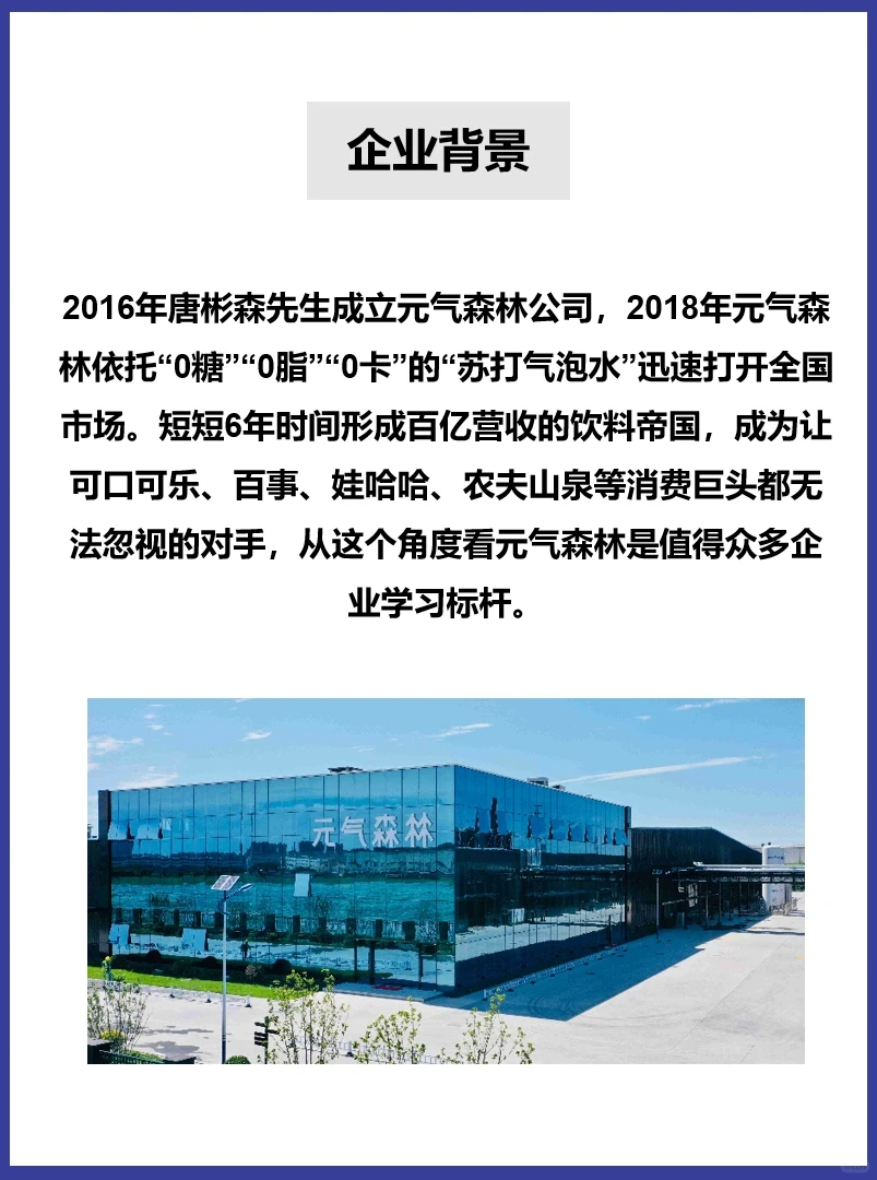 004‖元气森林品牌案例分析