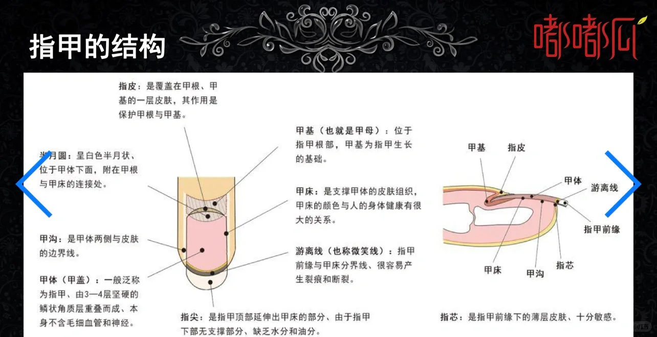 美甲前景发展|中央民族美术生转行搓指甲
