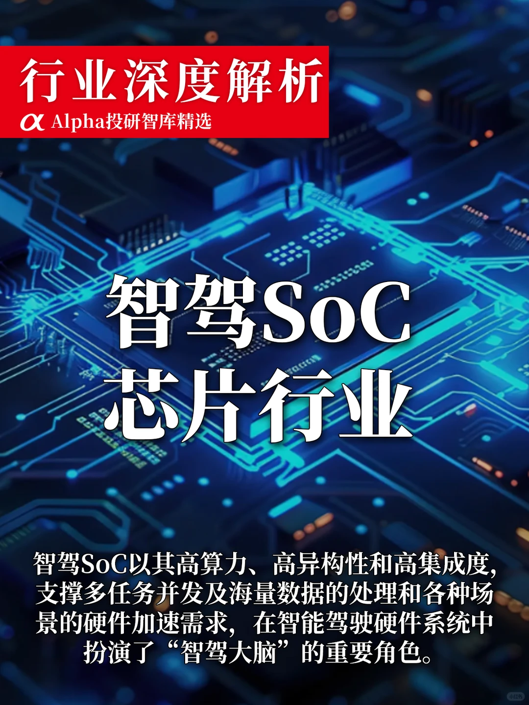 智驾 SoC 芯片才是 2025 真・潜力股?