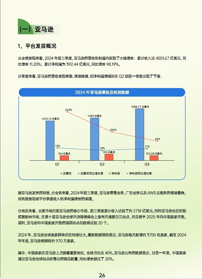 2024跨境电商行业年度报告