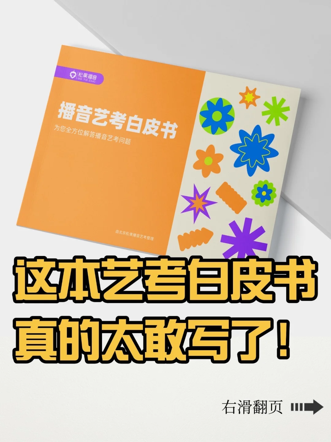 惊!这本艺考白皮书也太敢写了!