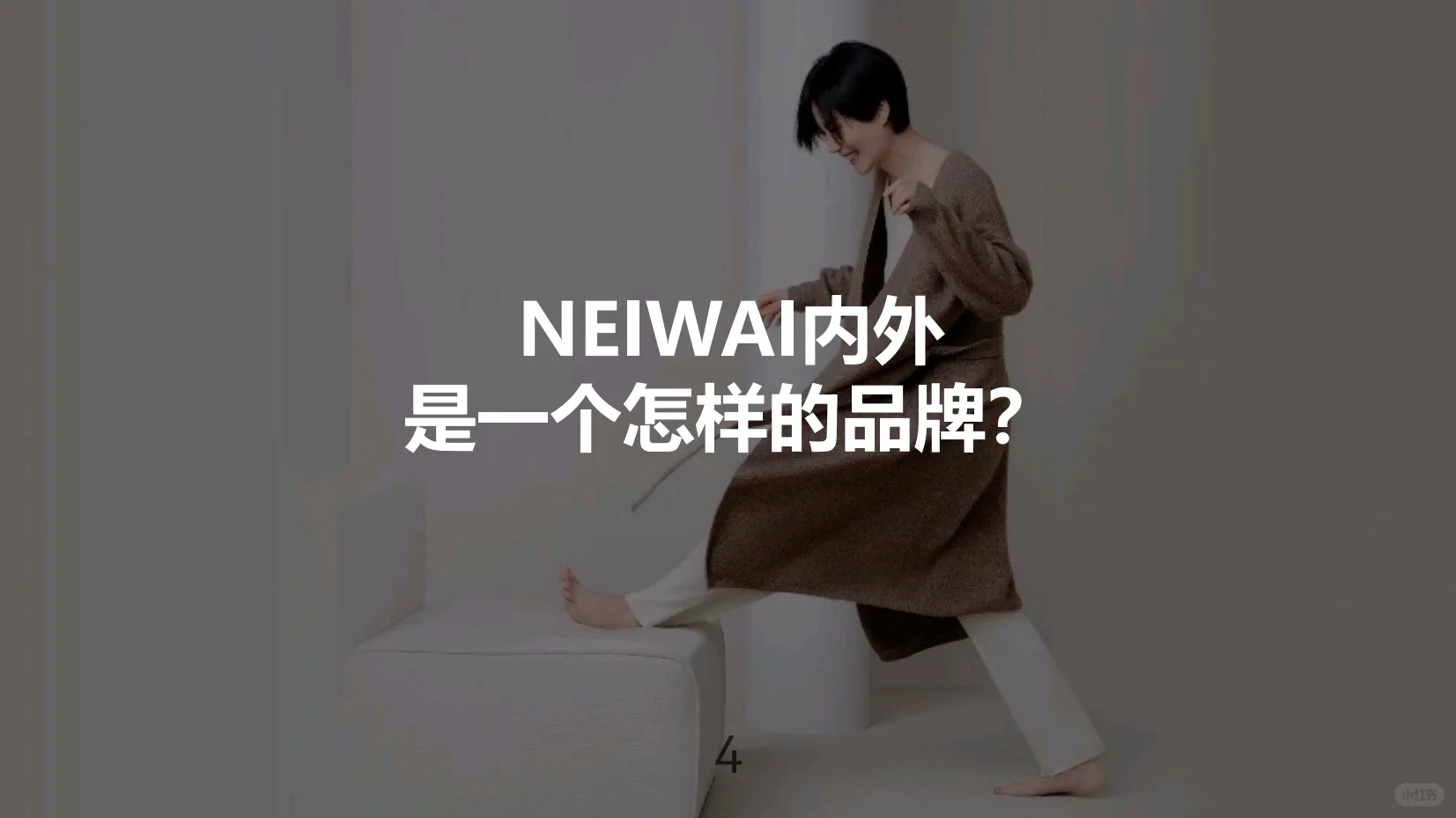 NEIWAI内外品牌研究报告（附PPT）