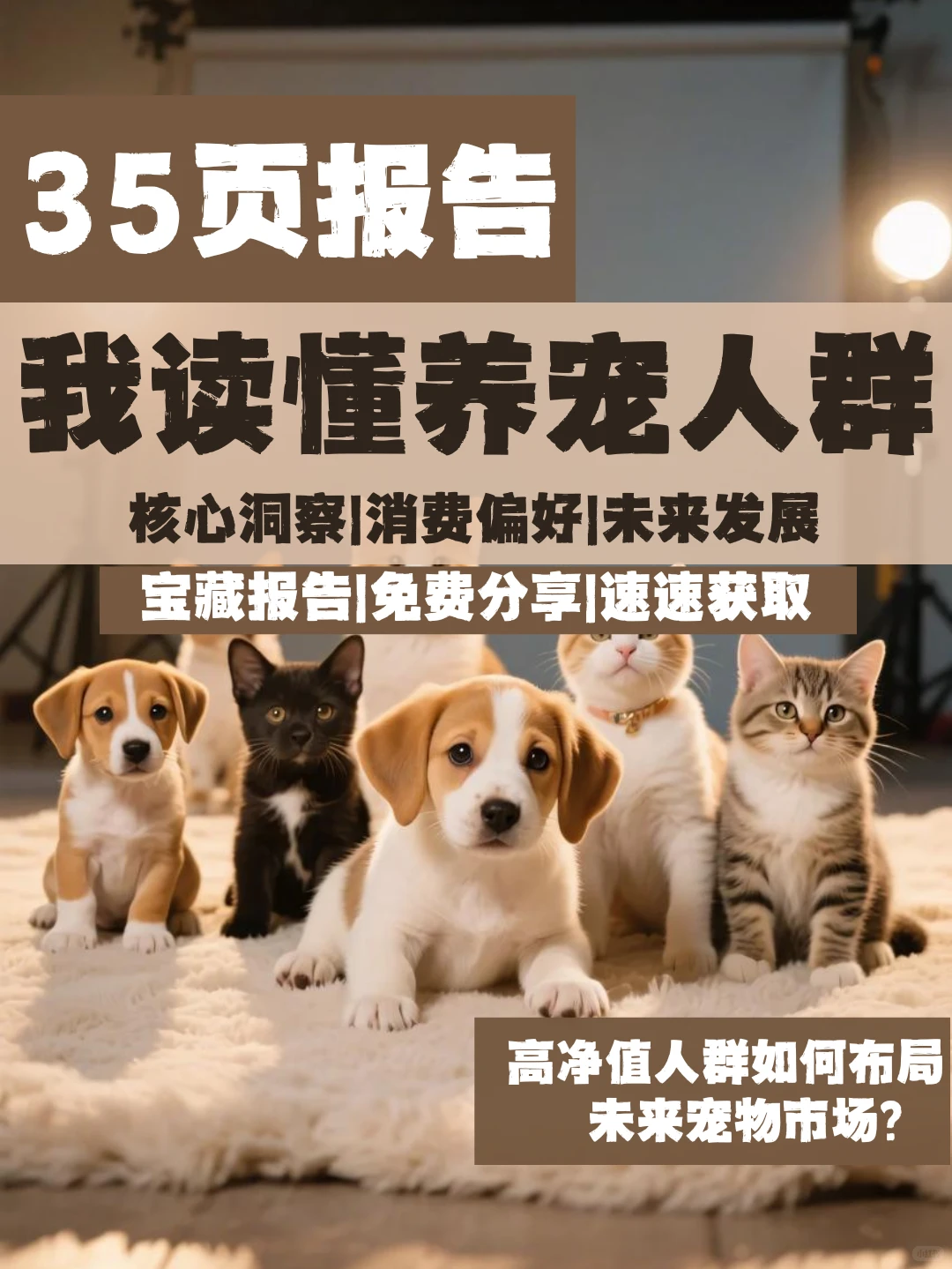 35页报告|我读懂养宠人群/核心洞察/消费偏