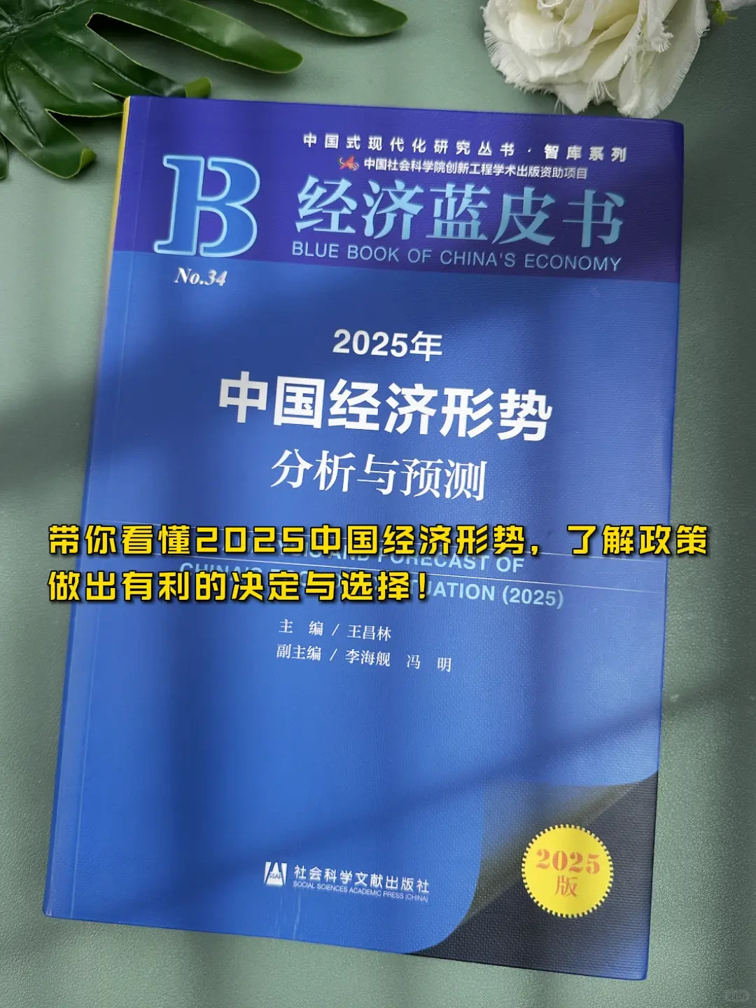 2025中国经济蓝皮书一本书带你看懂中国经济
