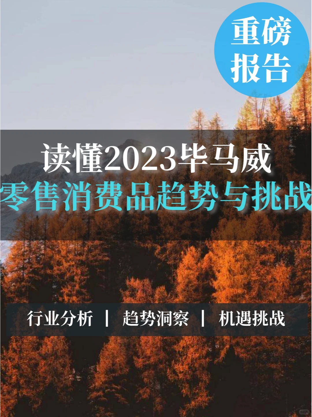 重磅报告▏读懂2023年零售消费品趋势与机会