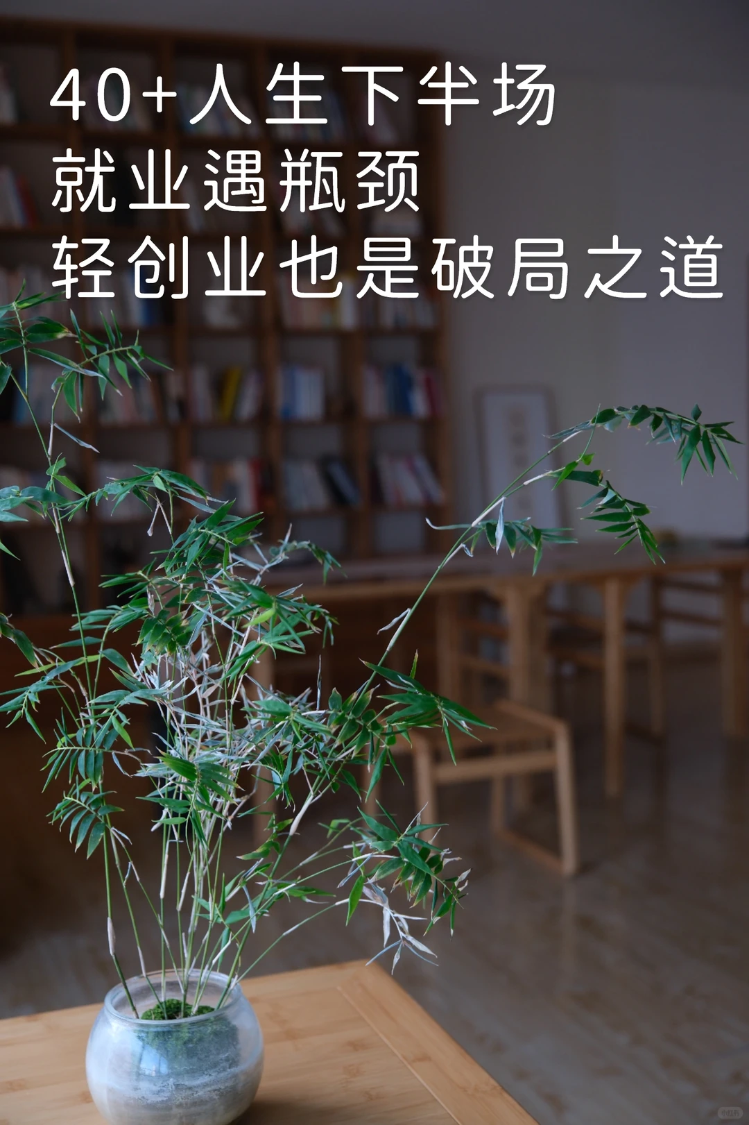 40+人生下半场|轻创业是破局之道