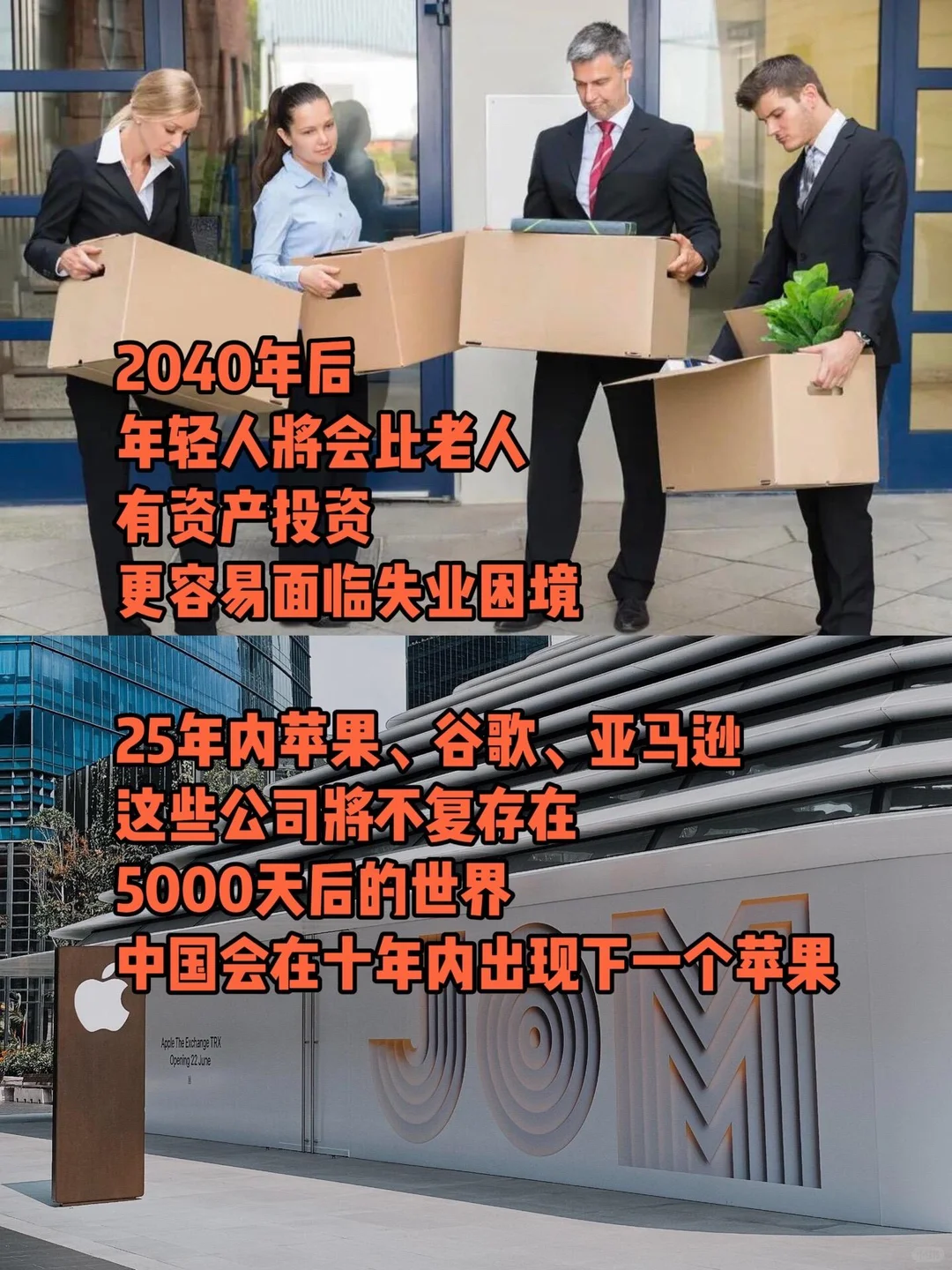 形势变化中洞察趋势，政策发展中发现机会
