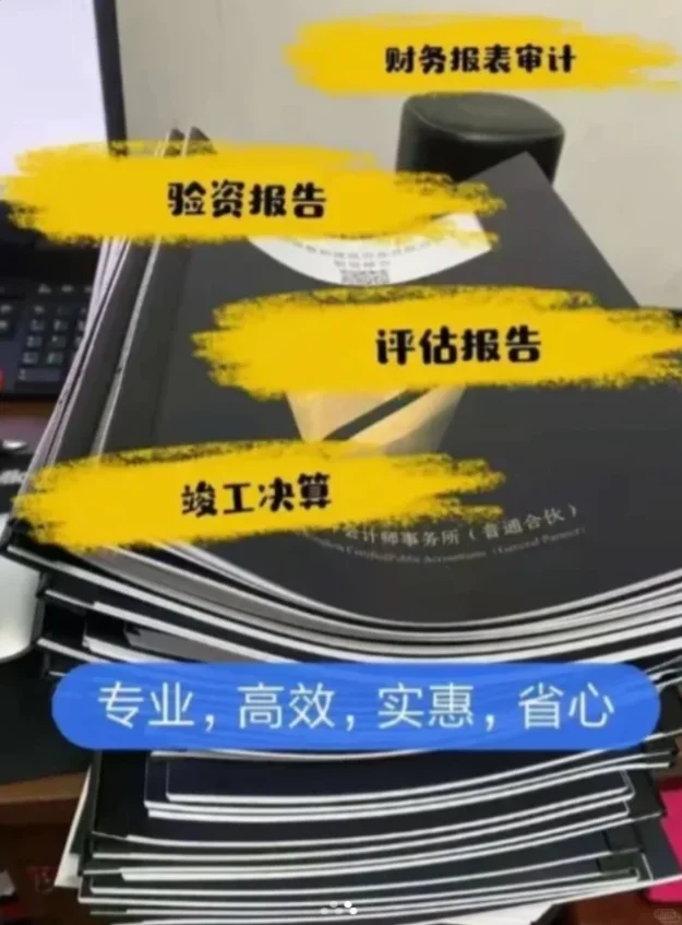 审计报告 有需要欢迎咨询~