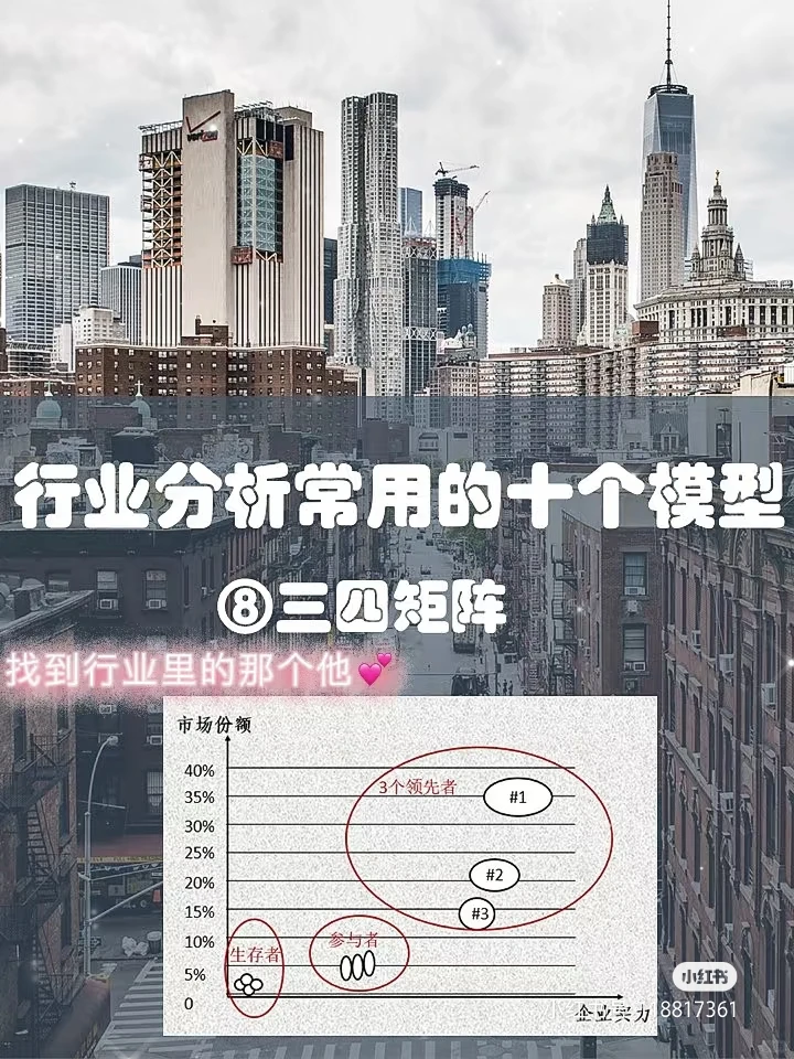 三四规则矩阵：成熟市场企业竞争地位分析