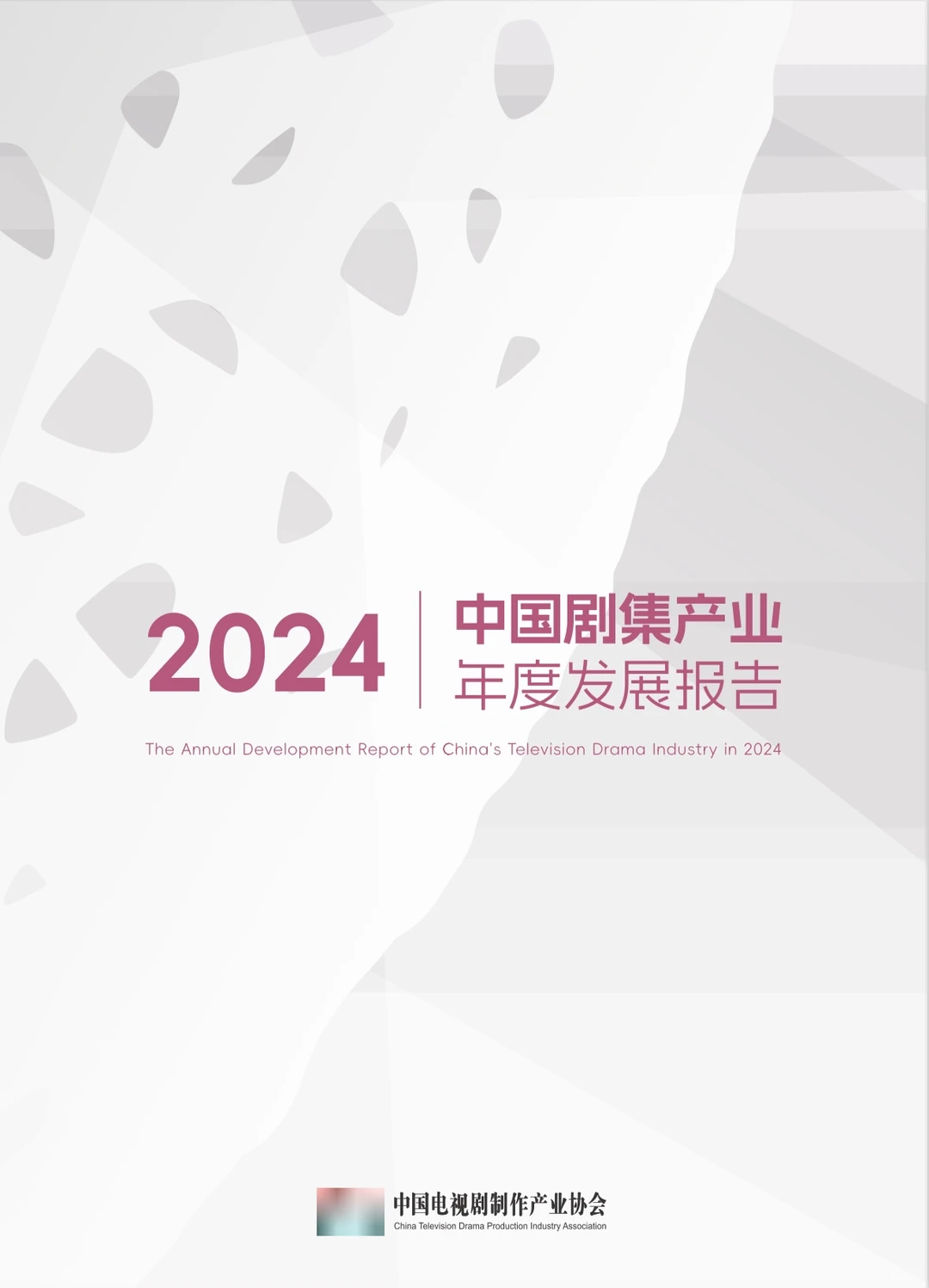 218页|中国剧集产业年度发展报告