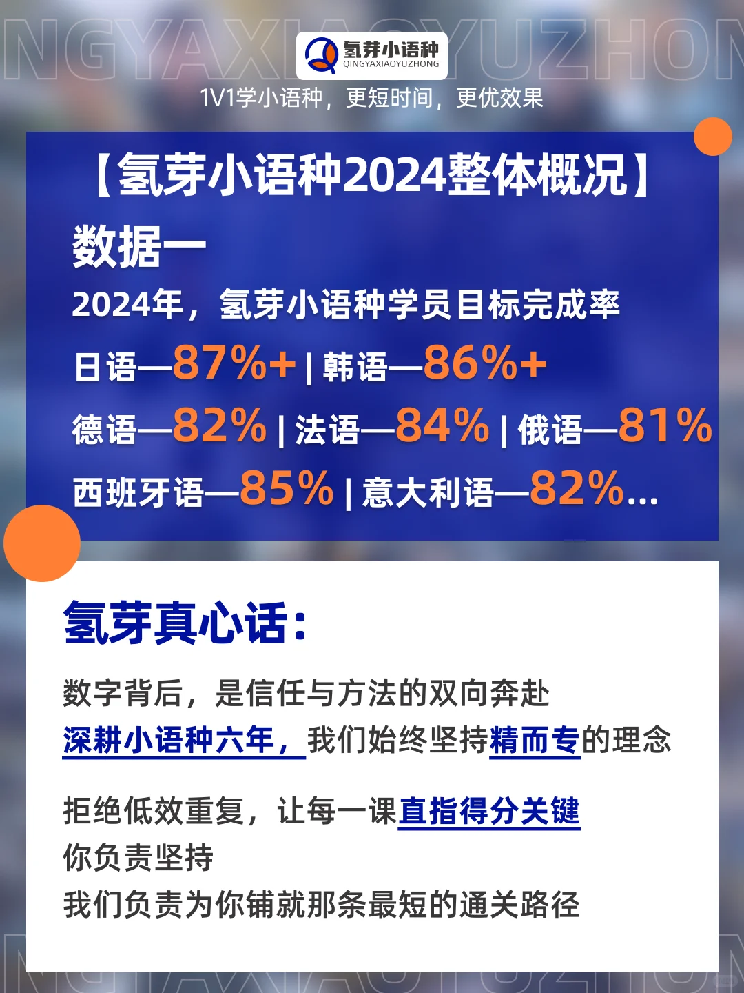 官方发布|氢芽小语种2024年度数据报告
