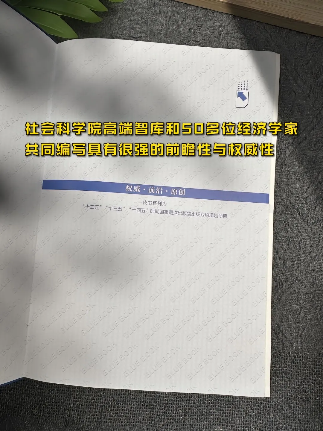 搞钱必看?《中国经济蓝皮书》