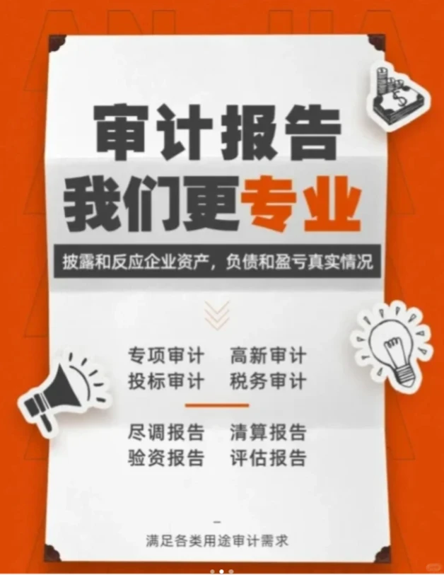 审计报告 有需要欢迎咨询~