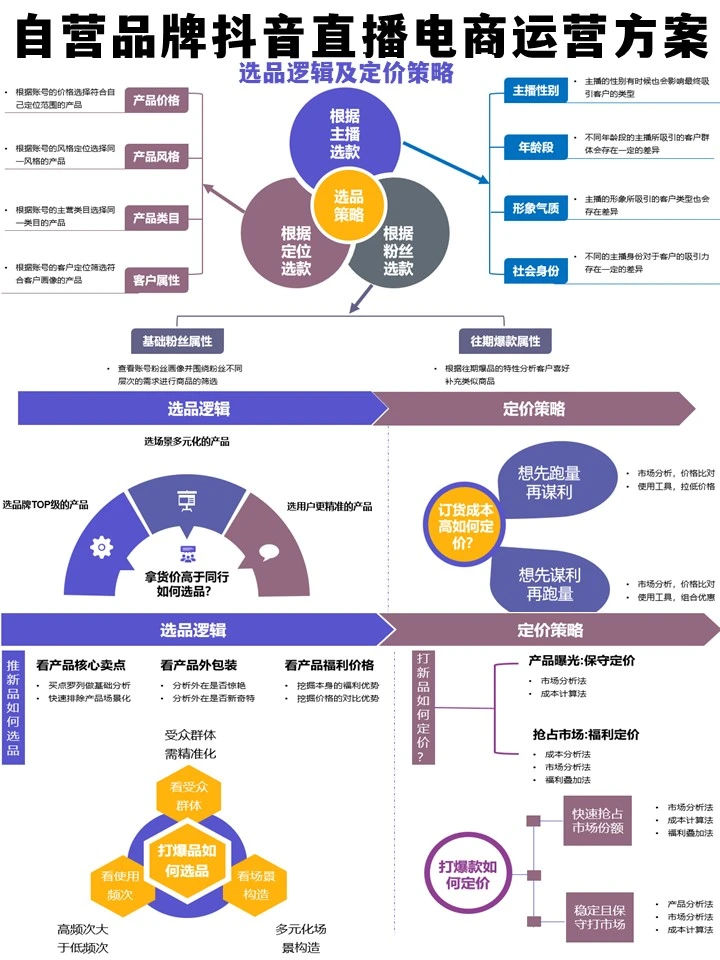 自营品牌电商直播项目运营计划方案