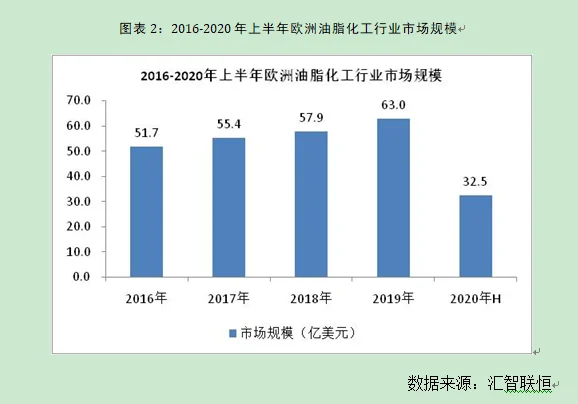 油脂化工行业市场研究与发展前景预测报告