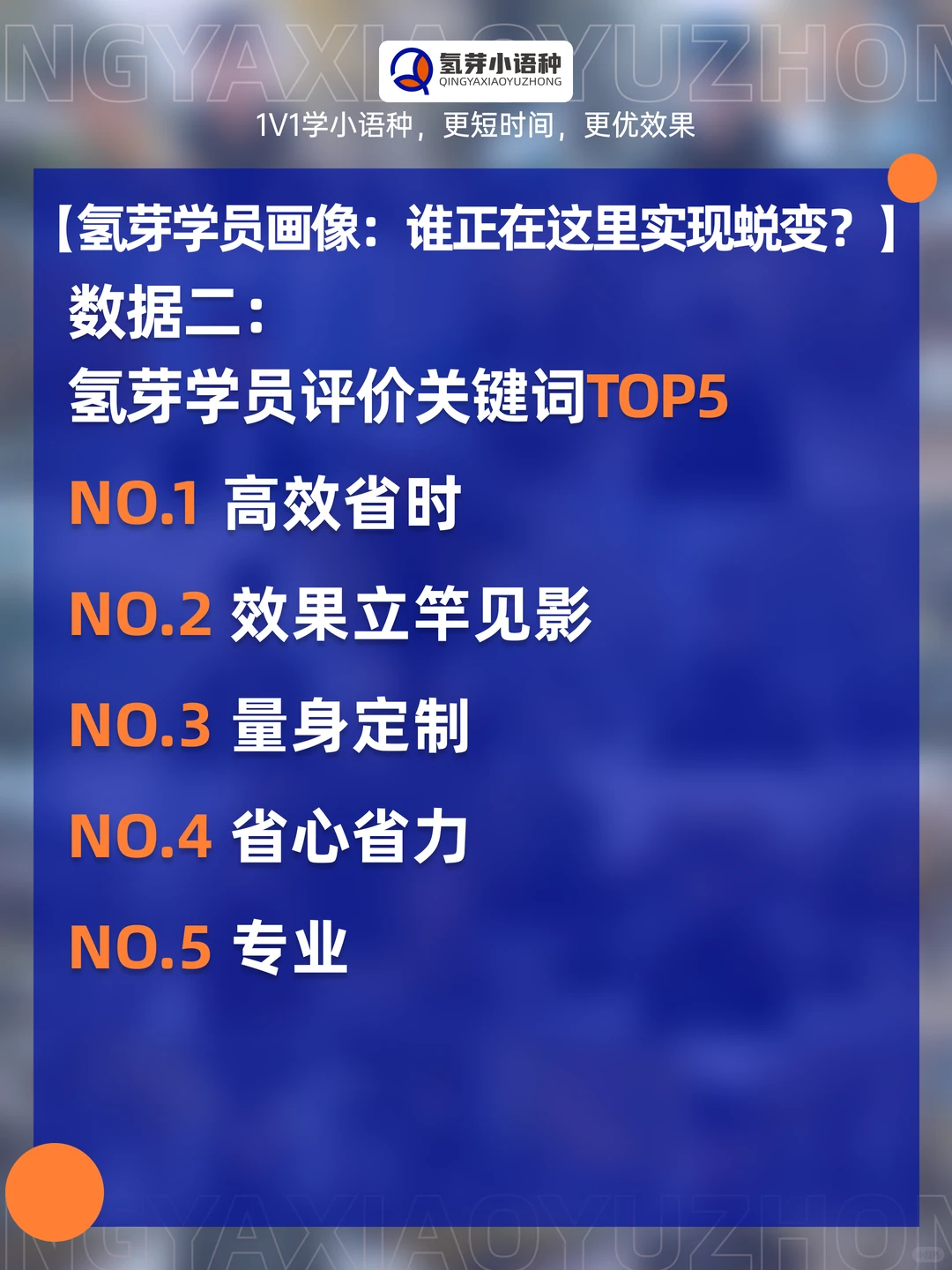 官方发布|氢芽小语种2024年度数据报告