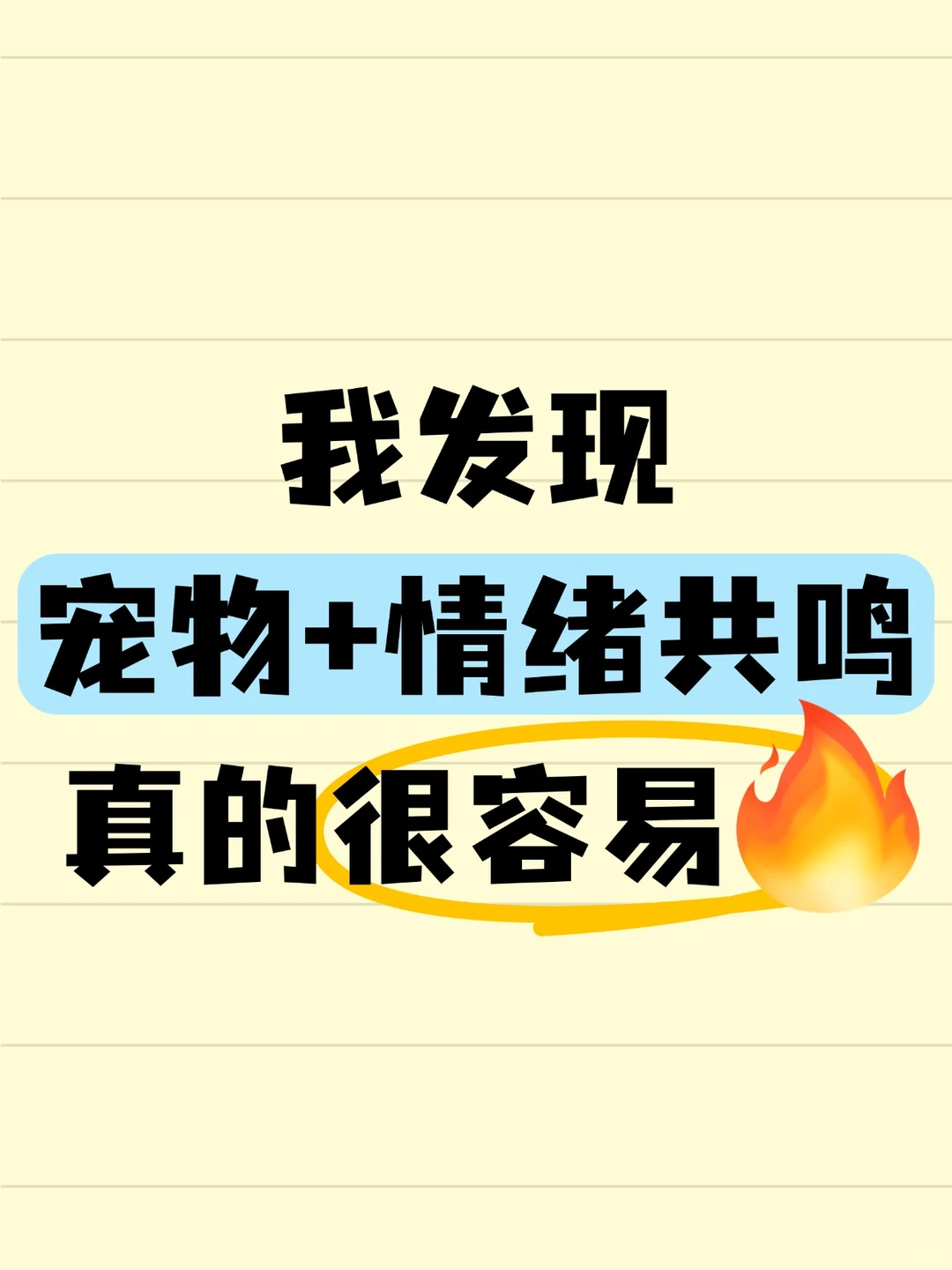 我发现宠物加情绪共鸣真的很容易火