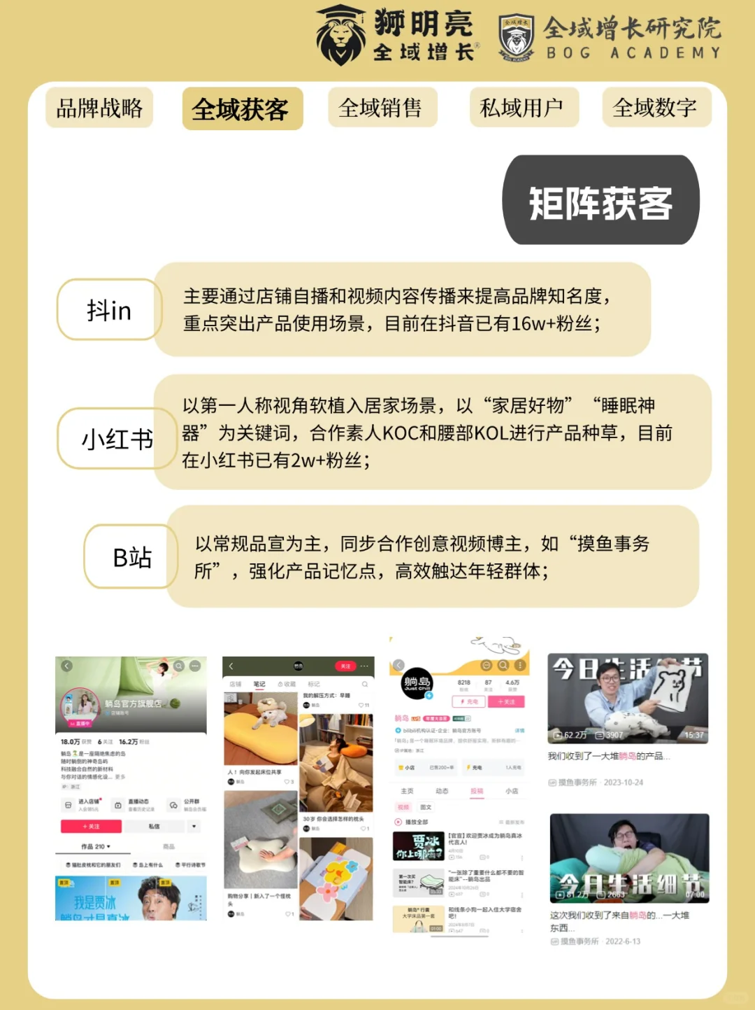品牌案例 | 躺岛的全域增长模式分析