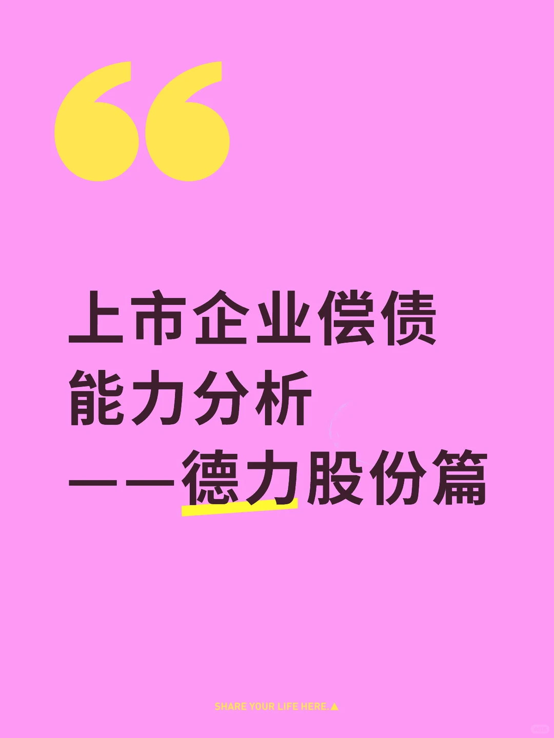 上市企业偿债能力分析——德力股份篇