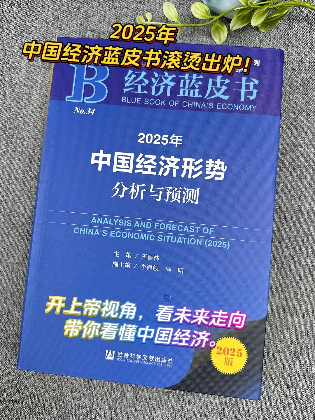 搞钱必看?《中国经济蓝皮书》