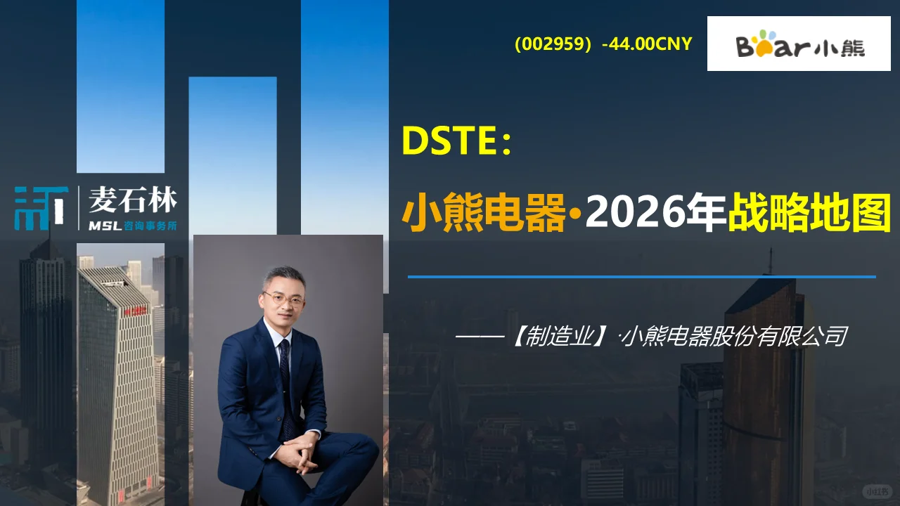 【小熊电器】DSTE：先看公司战略地图