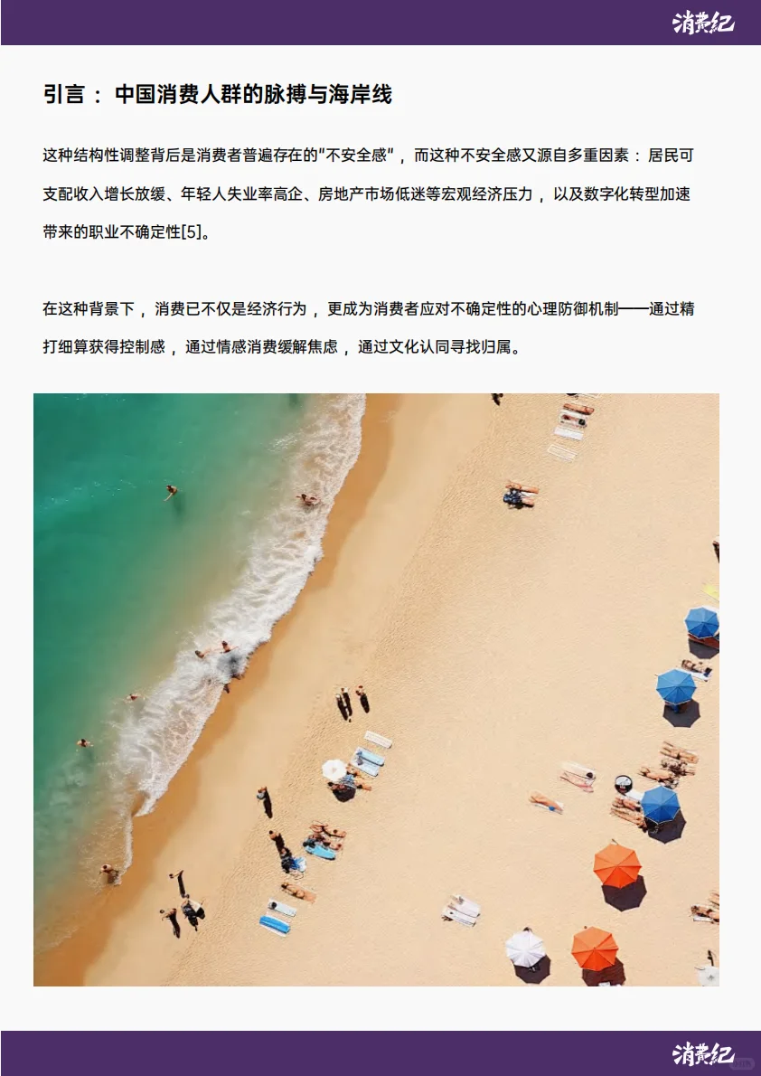中国消费人群心智地图：未来市场战略洞察