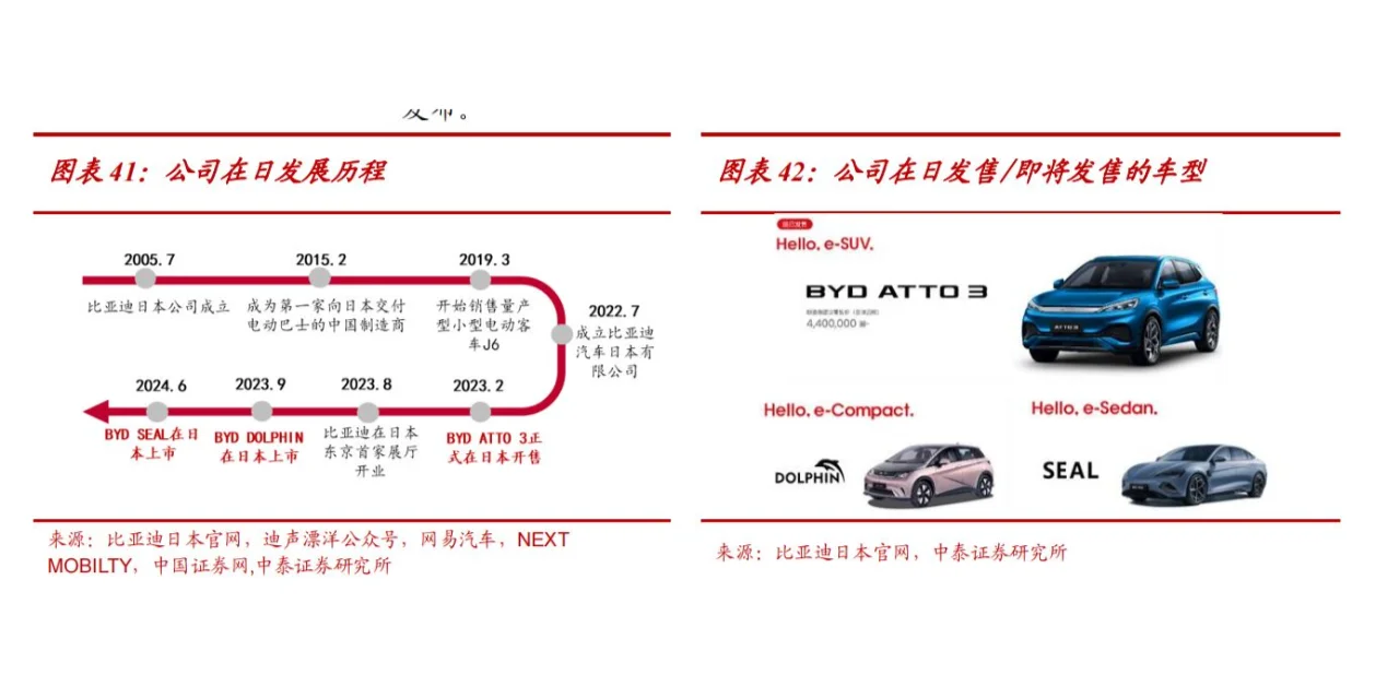 2024比亚迪汽车分析报告（10份）