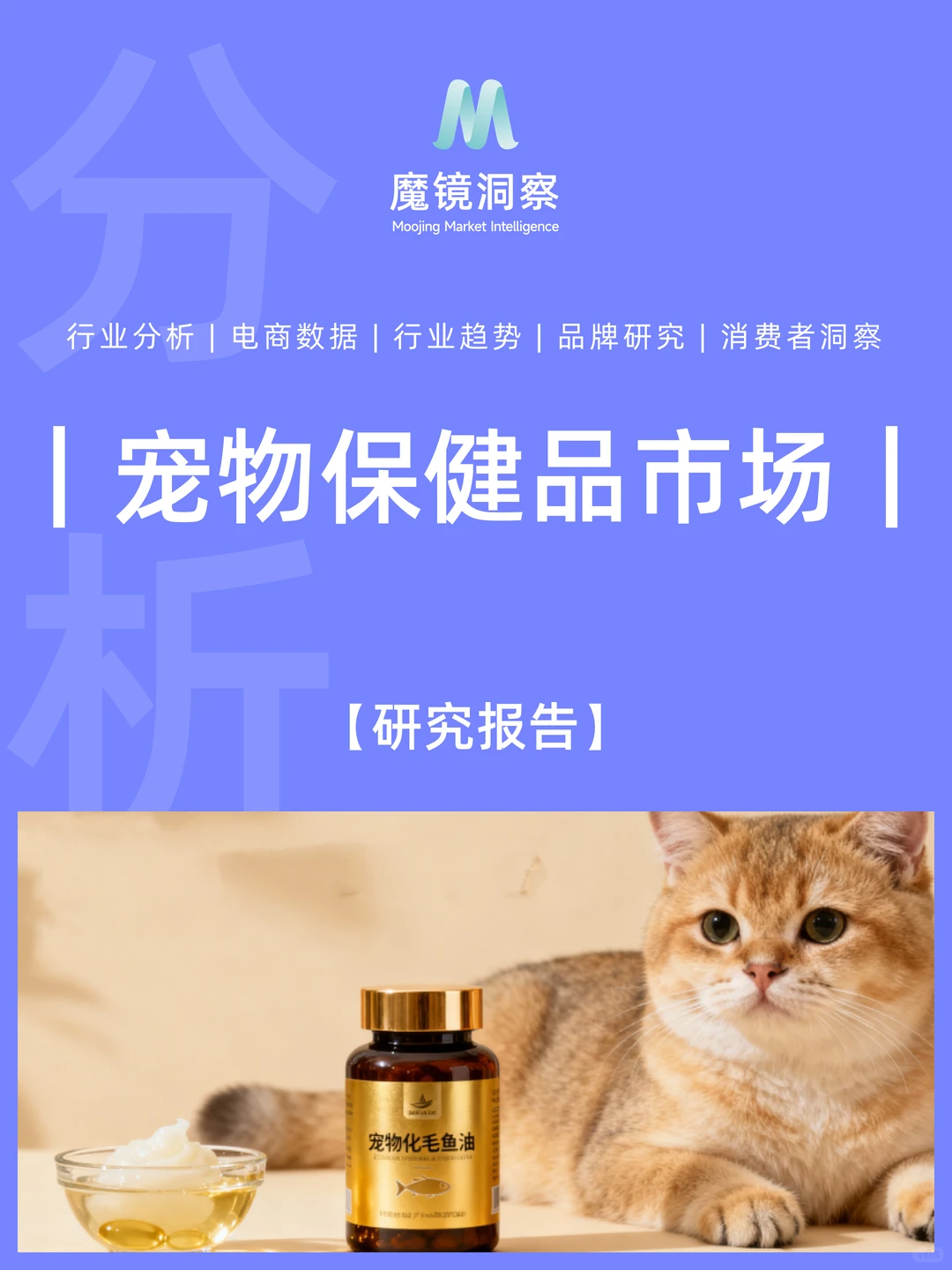 宠物保健品迎功能时代！你家毛孩子吃对了吗