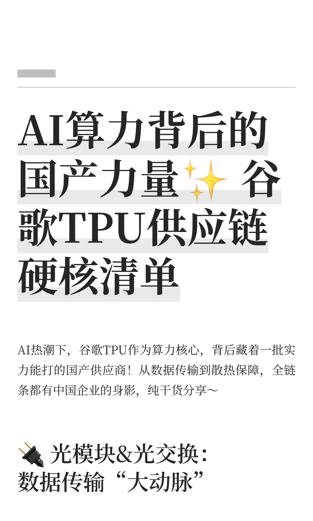 AI算力背后的国产力量✨ 谷歌TPU供应链硬核